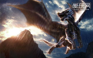 游戏翔龙,翱翔天际的传奇冒险之旅(图1) 游戏翔龙,翱翔天际的传奇冒险之旅(图1)