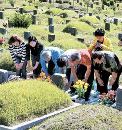农耕民俗游戏,传承千年的田野乐趣(图1) 农耕民俗游戏,传承千年的田野乐趣(图1)