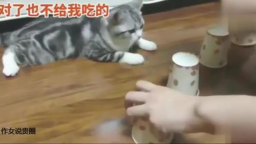和杯子游戏,轻松减压新体验(图3)