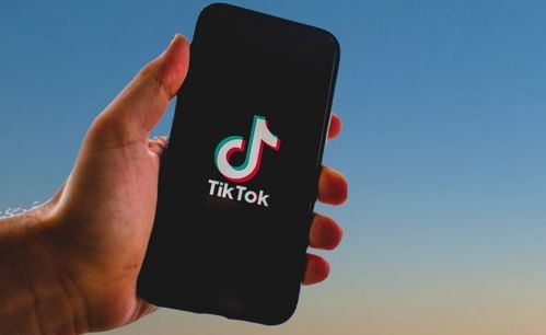 聚会游戏tiktok,一起嗨翻全场!(图2) 聚会游戏tiktok,一起嗨翻全场!(图2)