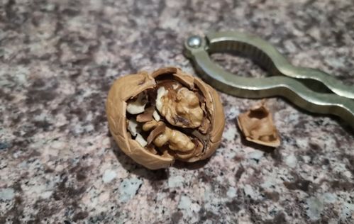 自制核桃游戏,自制益智游戏乐趣无限(图3)