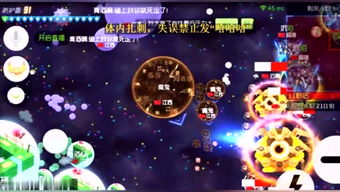叶粒游戏,探索奇幻世界的冒险之旅(图3)