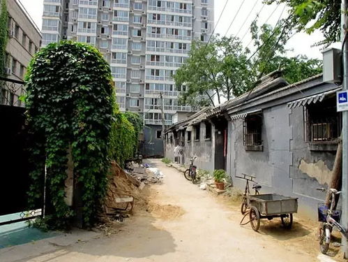 游戏胡同,游戏胡同的历史与魅力(图2)