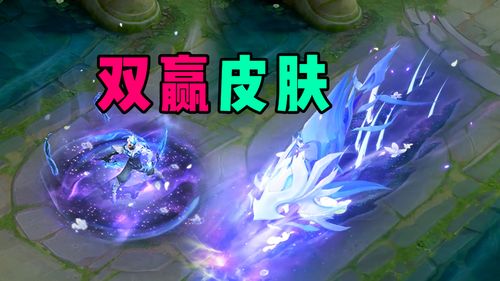 对皮肤游戏,皮肤游戏中的护肤之旅(图2)