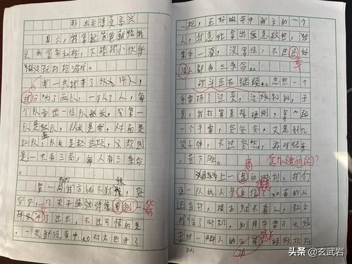 三年级作文写游戏,三年级作文中的游戏世界(图2)