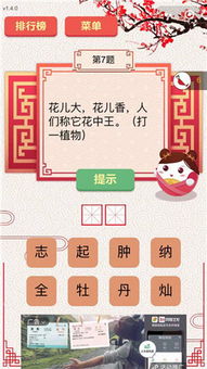 猜谜游戏d,探索猜谜游戏d的奥秘之旅(图2)