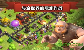 霸王助手游戏,一统天下的传奇之旅(图2) 霸王助手游戏,一统天下的传奇之旅(图2)