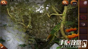 好重的石头它后面有什么游戏,探寻神秘游戏世界的奇幻冒险(图1) 好重的石头它后面有什么游戏,探寻神秘游戏世界的奇幻冒险(图1)