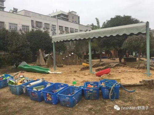 安吉游戏建构区游戏,探索儿童自主游戏与创造力培养的乐园(图1) 安吉游戏建构区游戏,探索儿童自主游戏与创造力培养的乐园(图1)