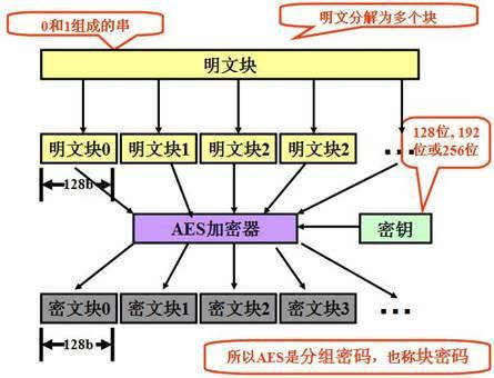 aes游戏,探索虚拟世界的奥秘与挑战(图3) aes游戏,探索虚拟世界的奥秘与挑战(图3)