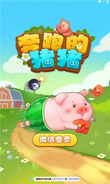 猪猪游戏光,探索光与梦想的奇幻之旅(图1) 猪猪游戏光,探索光与梦想的奇幻之旅(图1)