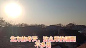 游戏李大爷,岁月流转中的青春回忆(图3) 游戏李大爷,岁月流转中的青春回忆(图3)