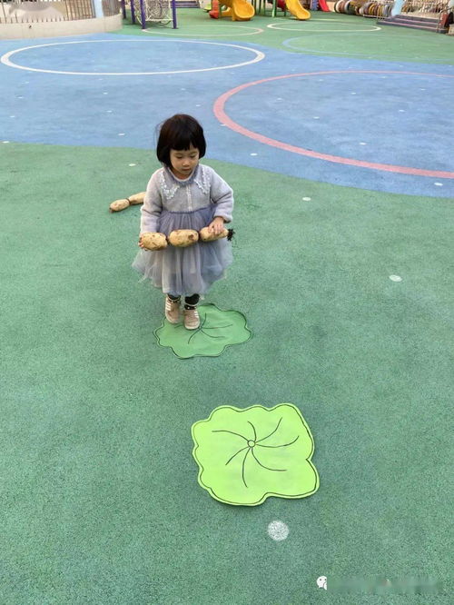 莲藕游戏,探寻古代智慧与策略的奇幻之旅(图2)