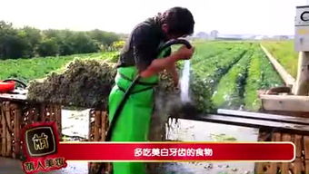 幼游戏视频,寓教于乐的童年时光(图3)