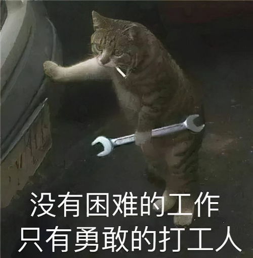 打游戏打工,平衡娱乐与奋斗的青春篇章(图1)