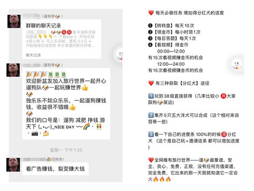 养猪遛狗游戏,遛猪遛狗趣味游戏体验(图1) 养猪遛狗游戏,遛猪遛狗趣味游戏体验(图1)