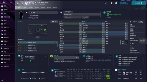 数值我游戏,探索奇幻游戏世界之旅(图2)