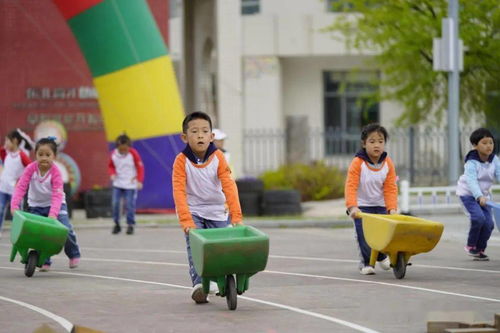 安吉游戏化,让孩子在快乐中学习成长(图3)