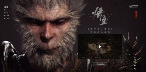 游戏暗悟空,穿梭时空的神秘冒险(图2) 游戏暗悟空,穿梭时空的神秘冒险(图2)