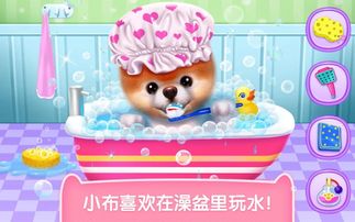 小布动画游戏,探索无限乐趣(图1)