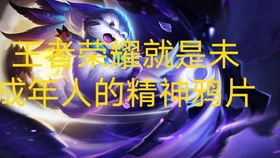 禁娱游戏,揭秘游戏行业的新规则与挑战(图3) 禁娱游戏,揭秘游戏行业的新规则与挑战(图3)