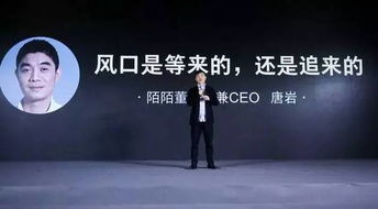 唐岩游戏,探索东方魔幻世界的奇幻之旅(图2)
