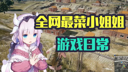 搞笑游戏姐,笑料横生的游戏世界之旅(图1)