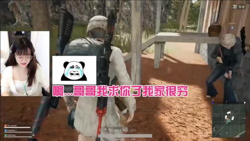 搞笑游戏姐,笑料横生的游戏世界之旅(图3)