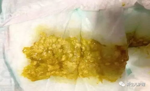萌犬便便便游戏破解版(图1)