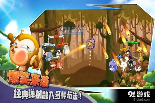 夹猴游戏,趣味横生的互动挑战体验(图2) 夹猴游戏,趣味横生的互动挑战体验(图2)