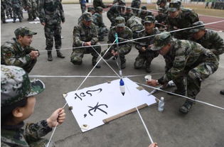 户外游戏军事,锻炼团队协作与勇气(图3) 户外游戏军事,锻炼团队协作与勇气(图3)