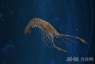 河虾游戏,畅游水族世界的奇幻冒险之旅(图2)