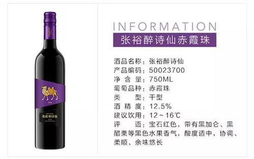 红酒美女游戏,浪漫邂逅尽在其中(图3) 红酒美女游戏,浪漫邂逅尽在其中(图3)