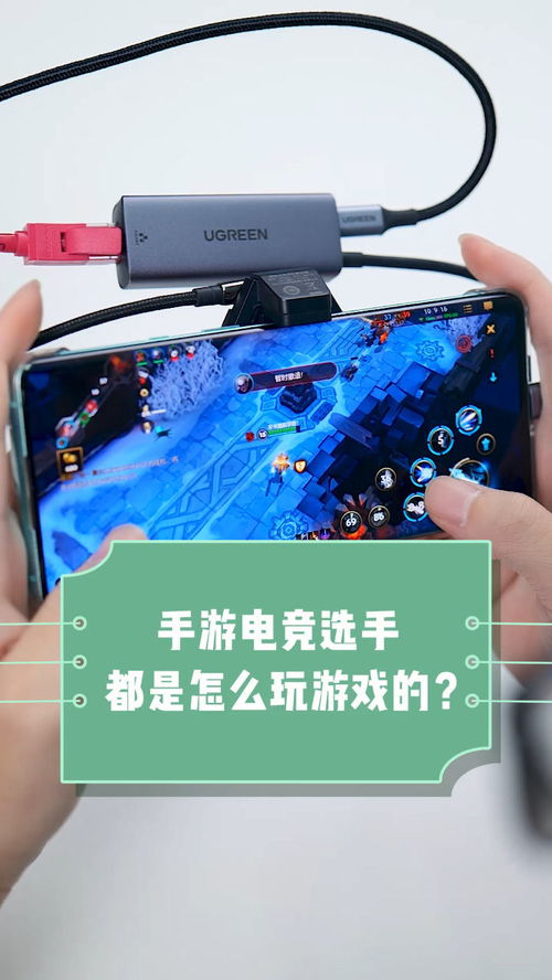 玩网线游戏,揭秘网线游戏背后的精彩故事(图2) 玩网线游戏,揭秘网线游戏背后的精彩故事(图2)