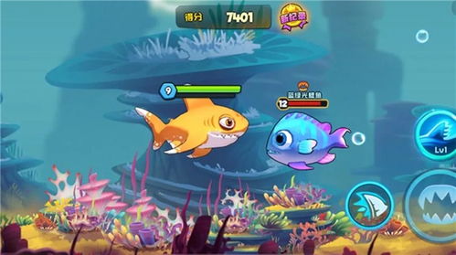 海洋游戏鱼,探索海洋游戏鱼的奇幻世界(图1) 海洋游戏鱼,探索海洋游戏鱼的奇幻世界(图1)