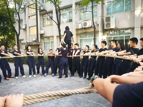 游戏踩绳子,挑战极限的踩绳游戏体验(图1)