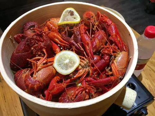 食人虾游戏,生存挑战与策略对决的海洋冒险之旅(图1)
