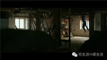 欧洲灵异游戏,探寻未知世界的神秘之旅(图2)