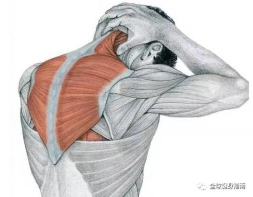 肩部游戏,锻炼与娱乐的双重享受(图1)