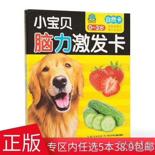 自然智力游戏,智力游戏中的智慧之旅(图2) 自然智力游戏,智力游戏中的智慧之旅(图2)