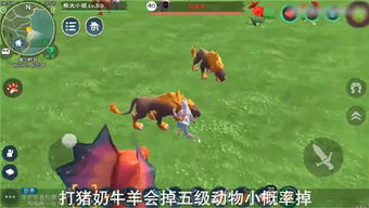 饲喂游戏,探索动物世界中的趣味与智慧(图1) 饲喂游戏,探索动物世界中的趣味与智慧(图1)