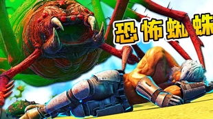 杀手蜘蛛游戏,一场惊心动魄的杀手蜘蛛游戏揭秘(图3) 杀手蜘蛛游戏,一场惊心动魄的杀手蜘蛛游戏揭秘(图3)
