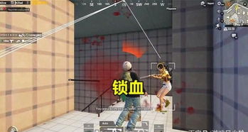 打游戏透视,揭秘透视外挂的奥秘与影响(图2) 打游戏透视,揭秘透视外挂的奥秘与影响(图2)