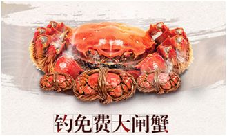 游戏大闸蟹,品味鲜美(图3) 游戏大闸蟹,品味鲜美(图3)