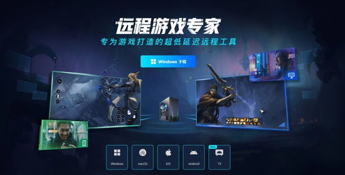 游戏串远程,揭秘游戏串背后的神秘世界(图3)