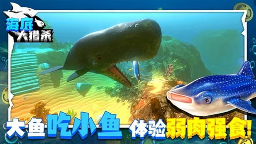 海洋联机游戏,海洋联机游戏的奇幻冒险之旅(图1)