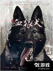 狼犬游戏,揭秘团队协作与生存智慧(图3) 狼犬游戏,揭秘团队协作与生存智慧(图3)