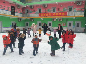 雪老师游戏,探索知识新天地(图1)