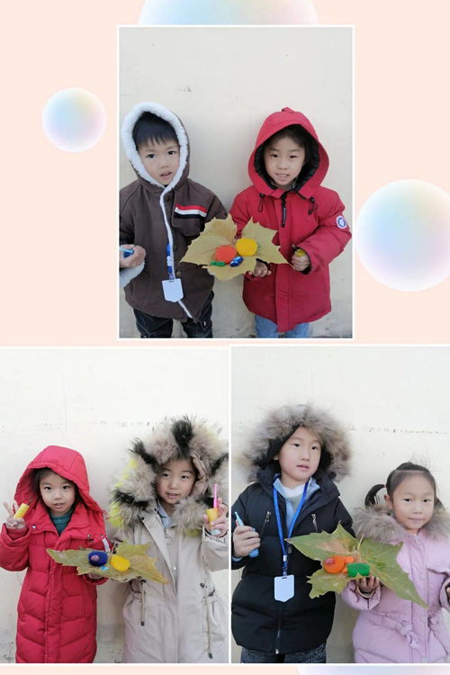 雪老师游戏,探索知识新天地(图2)