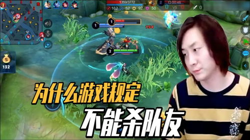 游戏别杀我,别杀我游戏背后的悬疑世界(图2)